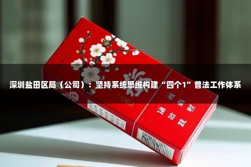 深圳鹽田區(qū)局（公司）：堅持系統思維構建“四個1”普法工作體系